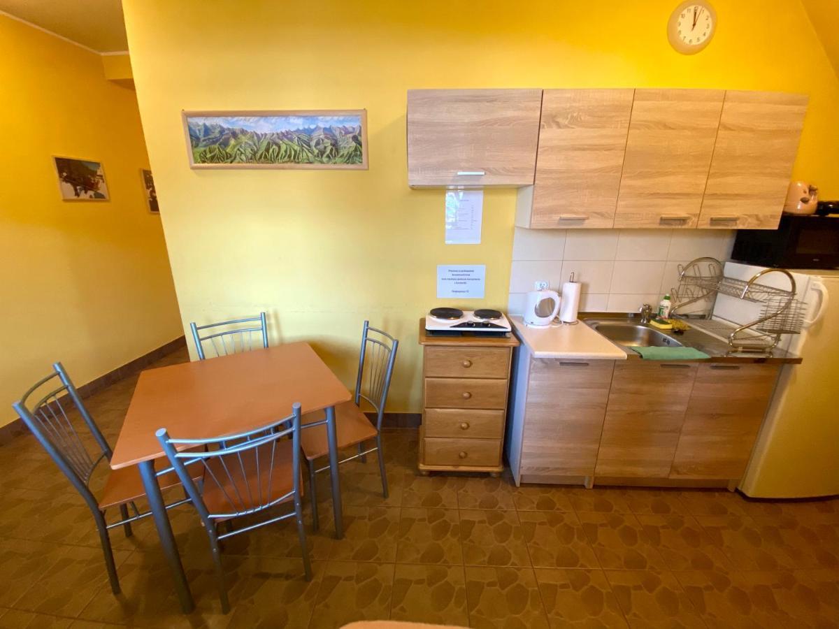 Na Kosnych Apartment Поронин Екстериор снимка